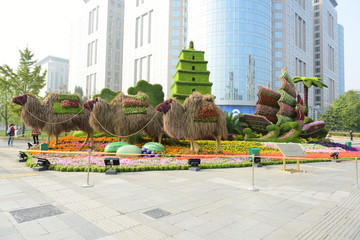 植物雕塑 花坛设计