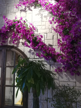 紫色花装饰墙面