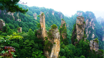 天子山风景