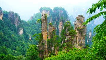 天子山风景