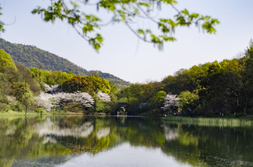 杭州太子湾