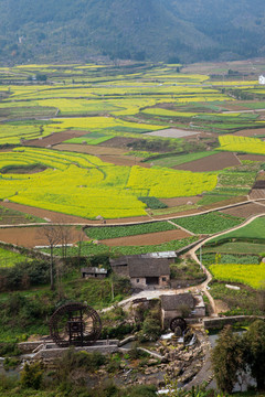 万峰林