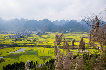 万峰林