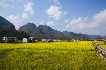 万峰林