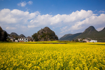 万峰林