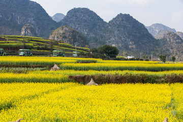 万峰林