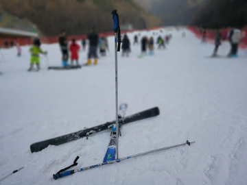 滑雪板 雪杖 滑雪 极限运动