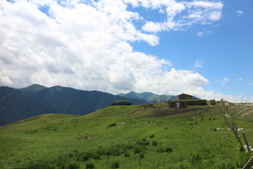 草原美景