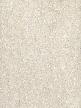 波兰米黄 大理石材质板材背景花