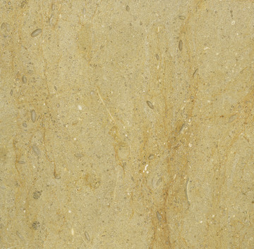 贵族米黄大理石材质板材背景花纹