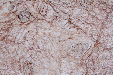 白晶玉2大理石材质板材背景花纹