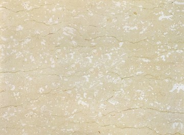 珀金米黄 大理石材质板材背景花