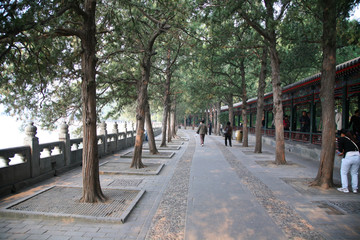 颐和园 颐和园建筑 北京颐和园