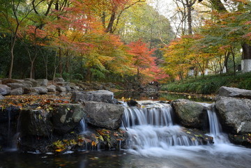 杭州九溪秋景