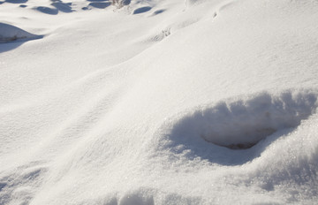 白雪 雪地 雪景