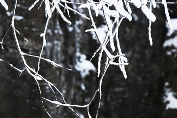 雪景