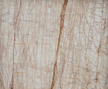 金蜘蛛5大理石板材背景石质纹理