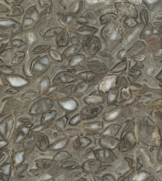 猫王石大理石板材背景石质纹理