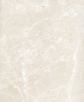 白玉兰a大理石材质板材背景纹理