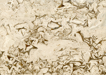 赛维米黄2大理石材质板材背景纹