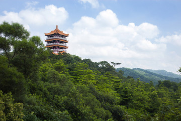 广州麓湖