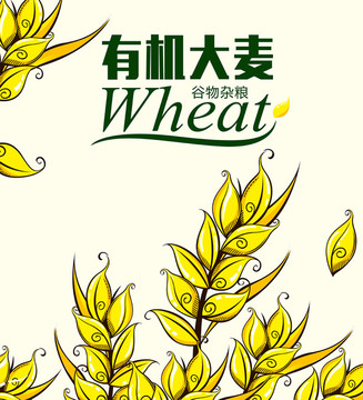 麥穗 麥片包裝設(shè)計