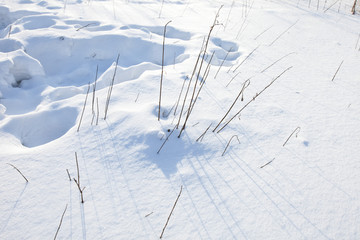 白雪 雪地 雪景