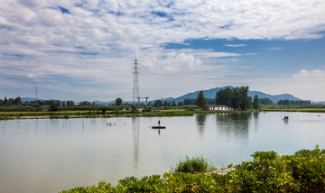 乡村湿地风光