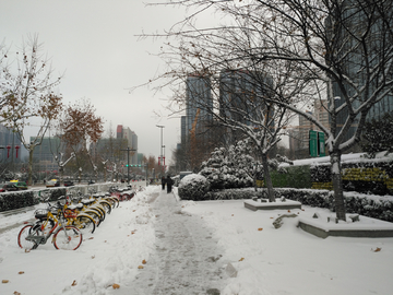 雪景