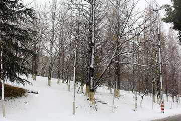 暖冬雪景