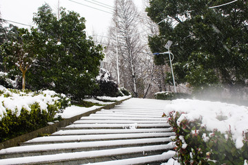 暖冬雪景