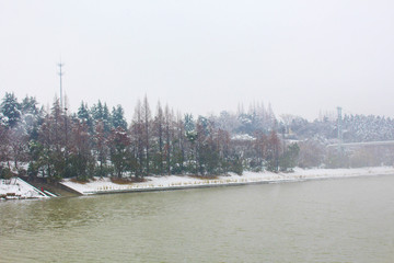 暖冬雪景