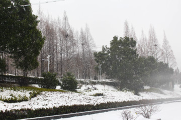 暖冬雪景