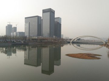 西安 隨手 動物 風景