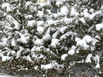 西安 北郊 北辰大道周边 雪景