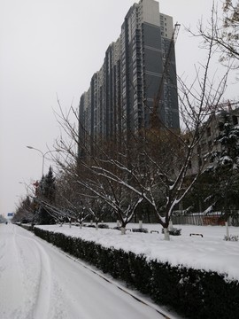 西安 北郊 北辰大道周边 雪景