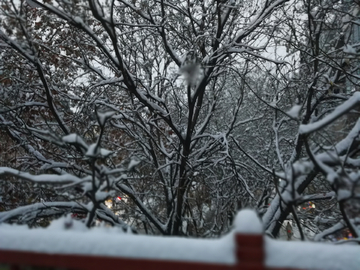 瑞雪兆丰年 2018 雪中天桥