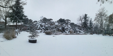 瑞雪兆丰年 2018 雪景