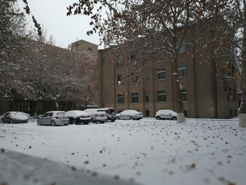 瑞雪兆丰年 2018 雪景