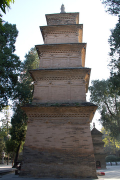 玄奘灵塔 护国兴教寺