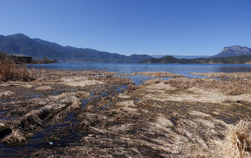 泸沽湖 草海