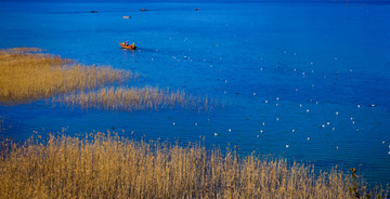 草海 泸沽湖