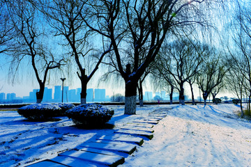 雪景图片