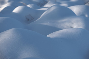 雪地光影