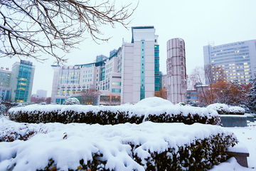 西京医院 雪景