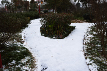 南方雪景