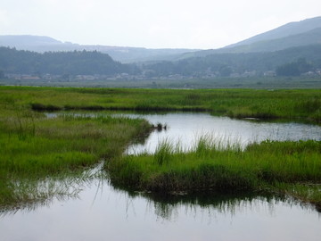 腾冲湿地