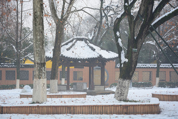 雨花台雪景风光