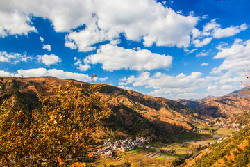 大山村庄