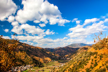 大山村庄